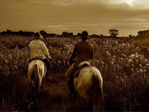 Colombia llanos